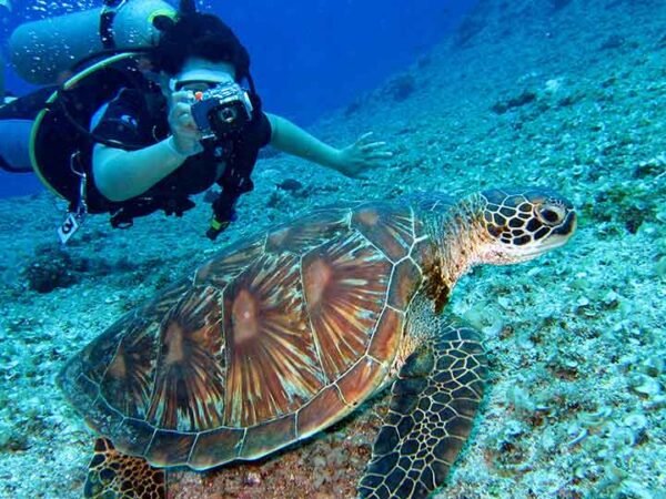 5 Day Hurghada Tour Package Highlights